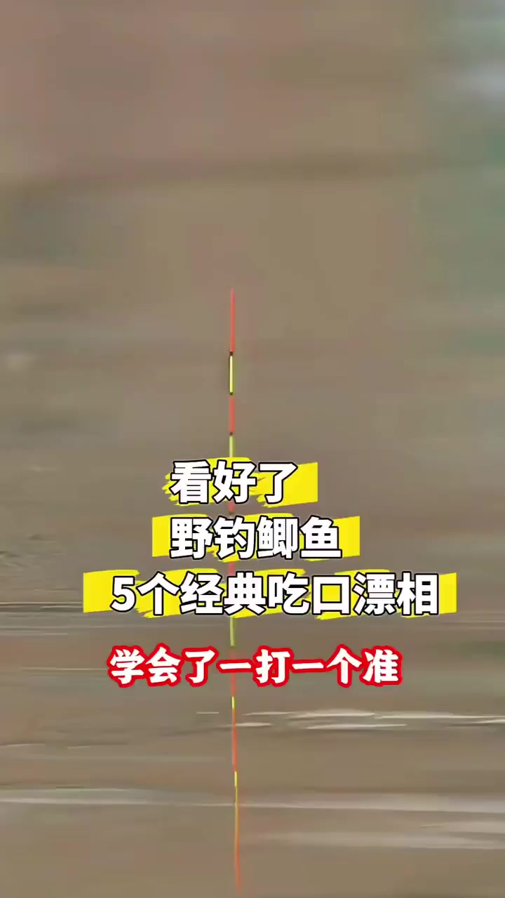 钓鱼佬宋的真实钓鱼渔获图片 1