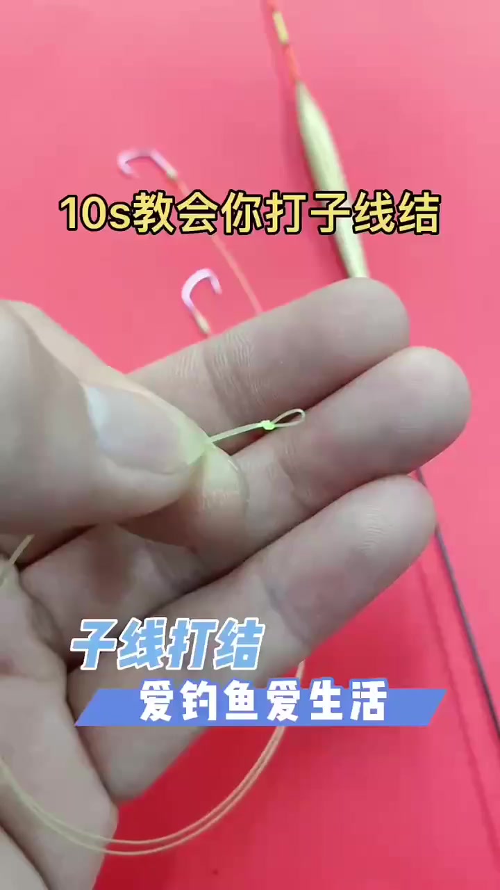 钓鱼佬宋发布的真实钓鱼渔获动态