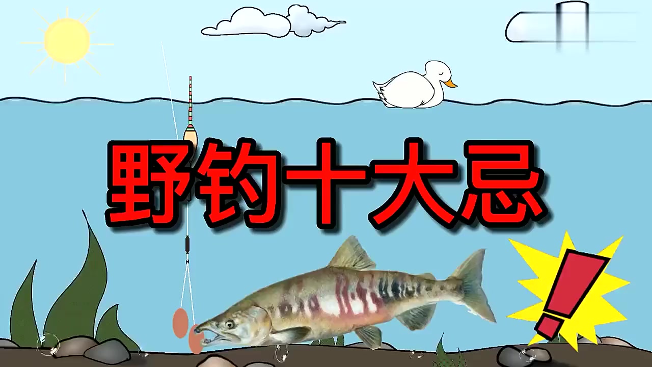 钓鱼佬宋的真实钓鱼渔获图片 1