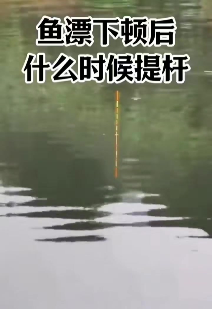 🐟爱吃鱼的猫🐈分享的鱼情、钓点与渔获 🐟爱吃鱼的猫🐈的真实钓鱼渔获图片 1