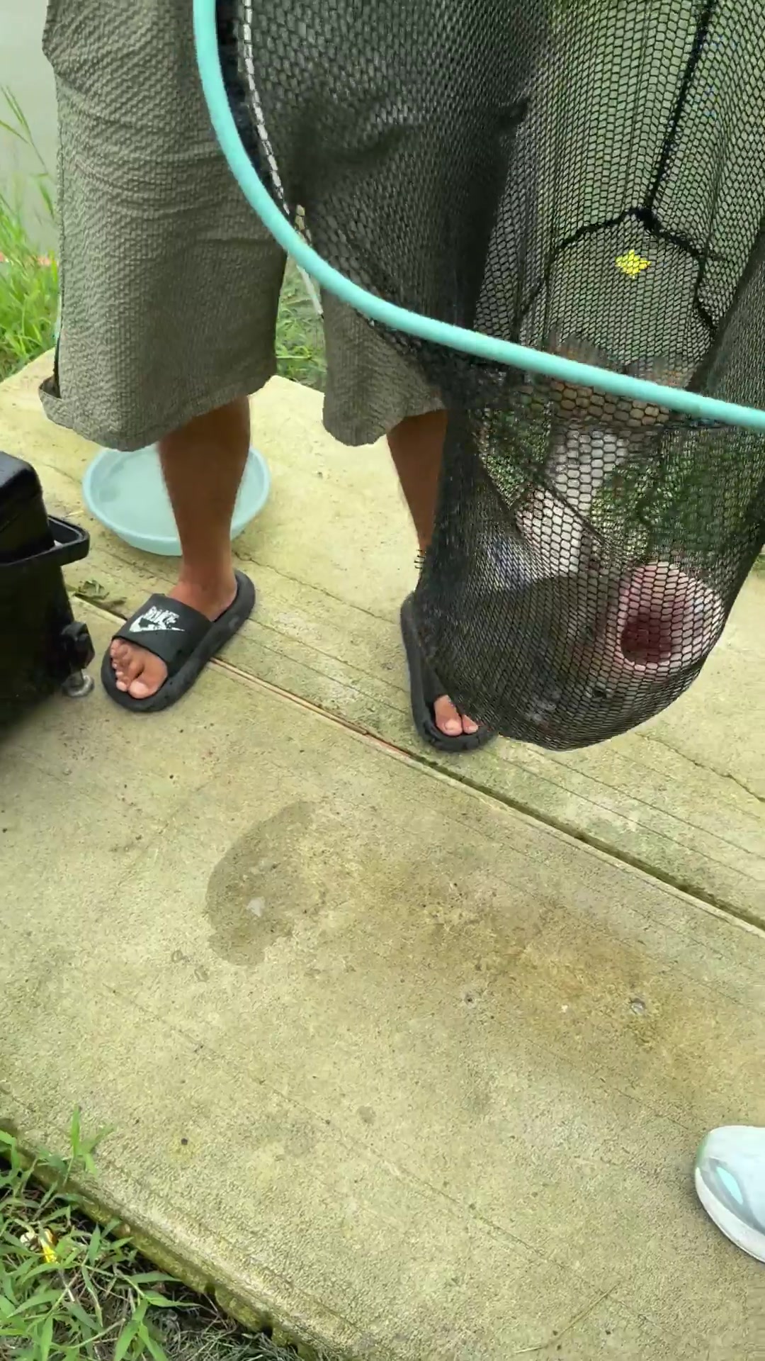 钓鱼佬宋的真实钓鱼渔获图片 1