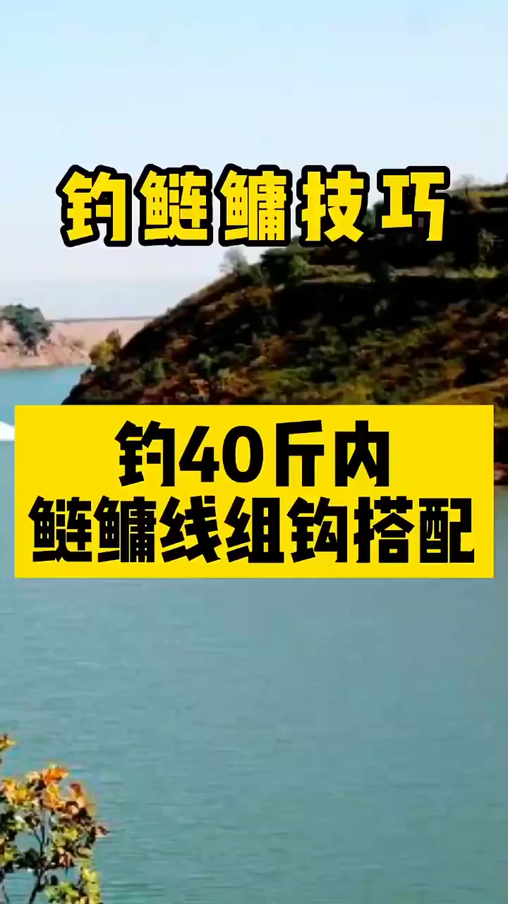 钓鱼佬宋的真实钓鱼渔获图片 1