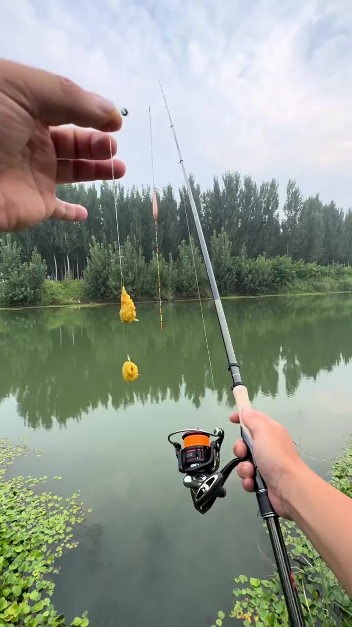 🐟爱吃鱼的猫🐈的真实钓鱼渔获图片 1