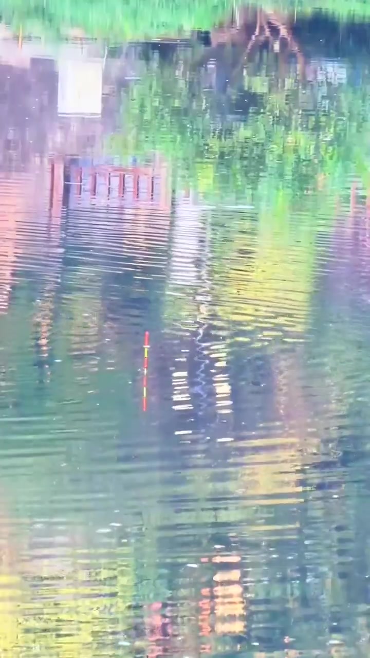 钓鱼佬宋的真实钓鱼渔获图片 1