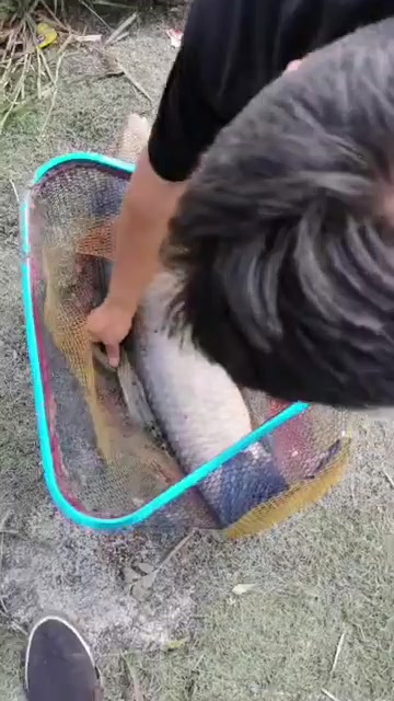 溪谷钓场发布的真实钓鱼渔获动态