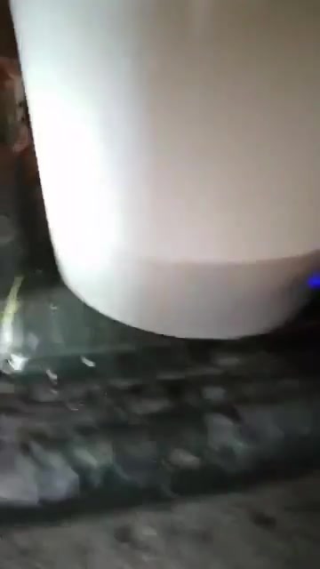 溪谷钓场的真实钓鱼渔获图片 1