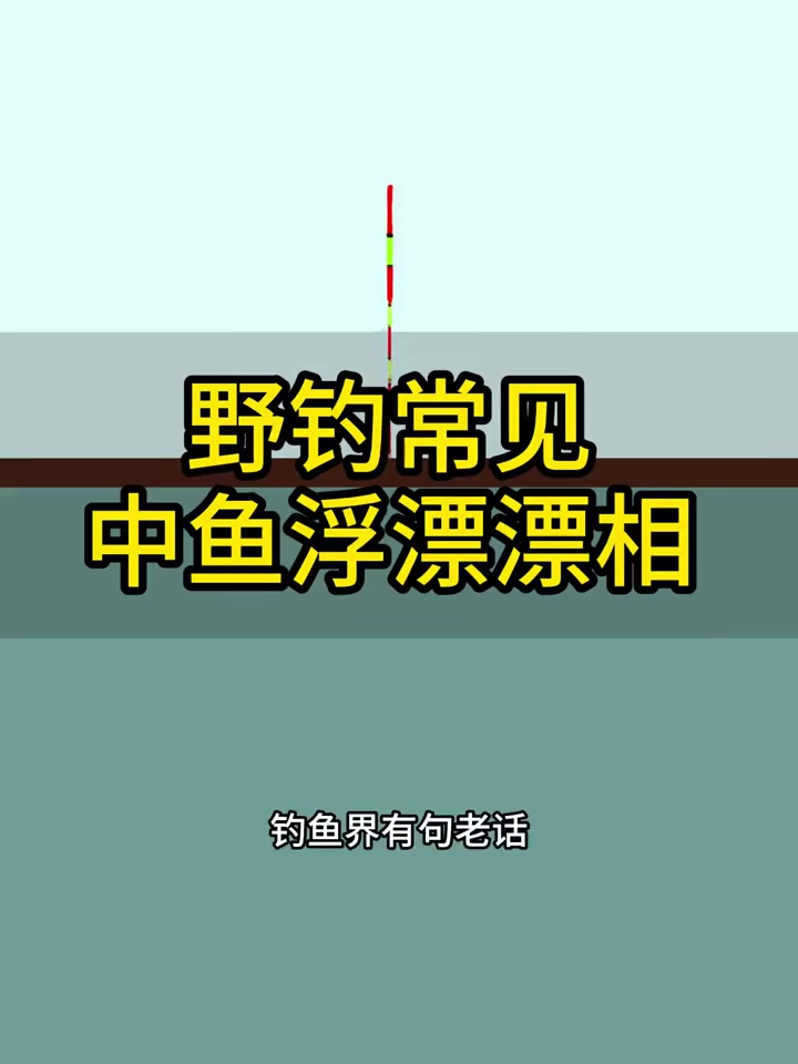 钓鱼佬宋的真实钓鱼渔获图片 1