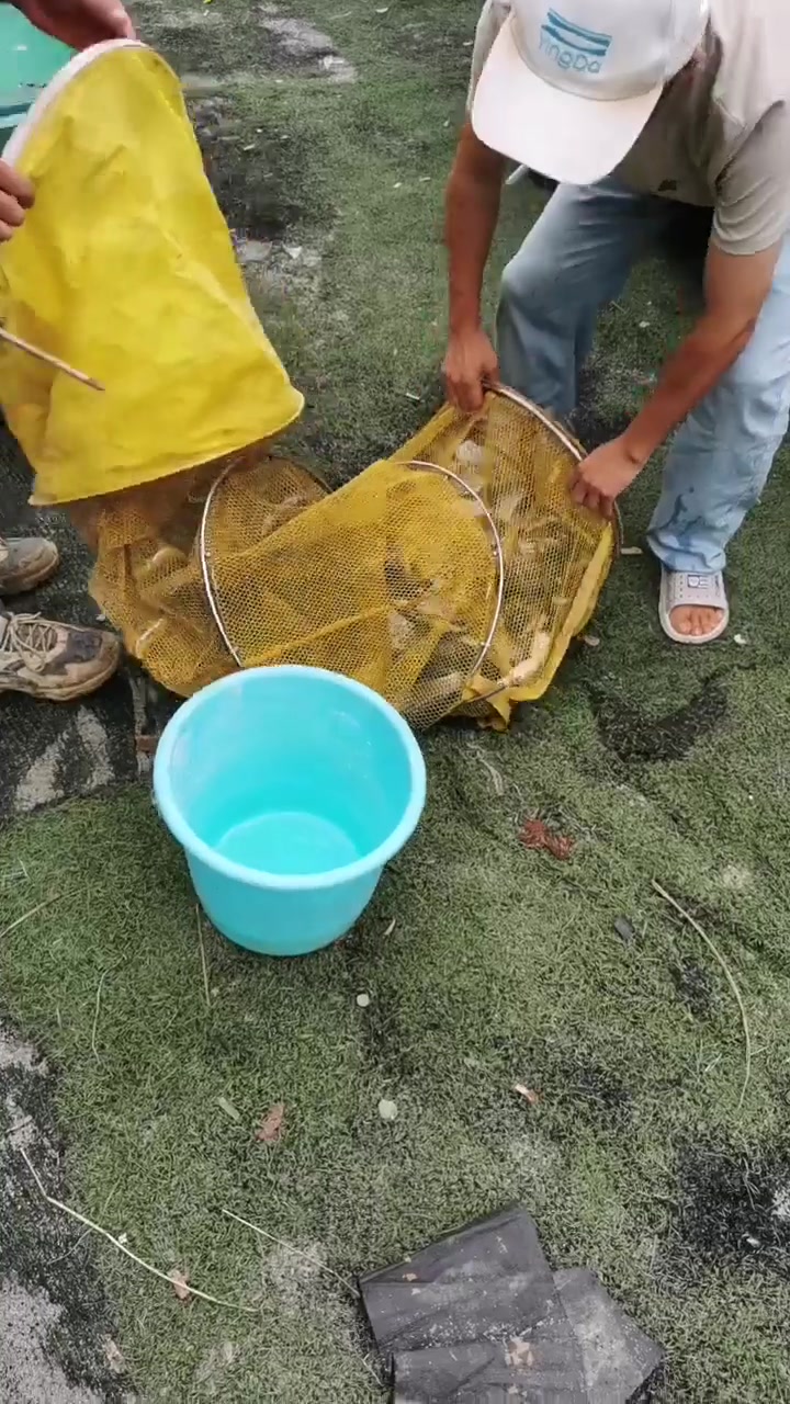 钓鱼佬宋的真实钓鱼渔获图片 1