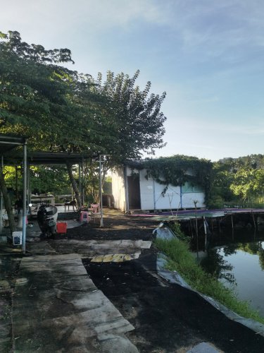 江湖钓场钓场环境照片
