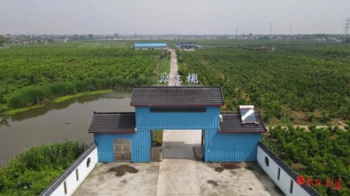 桃花源桃园垂钓钓场环境照片