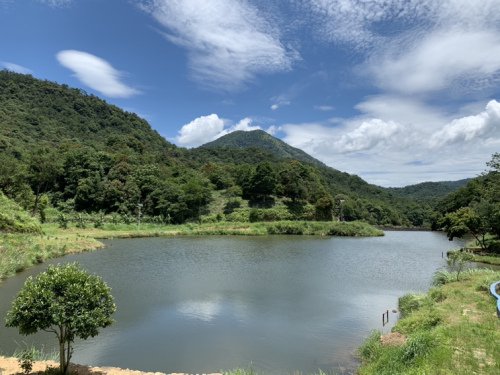 小雷生态养鱼钓鱼场(歌秀亭)钓场环境照片