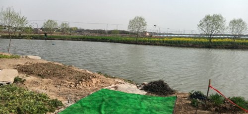 开心钓场钓场环境照片