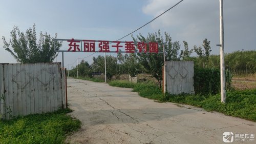 东丽强子垂钓园钓点与钓场环境照片