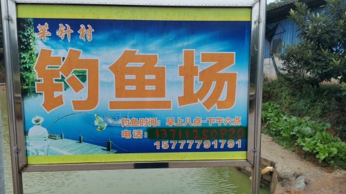 茅针钓鱼场钓场环境照片