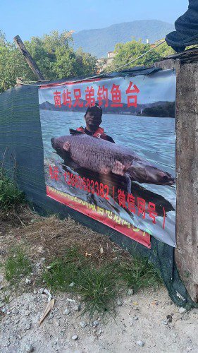 南屿兄弟钓鱼台钓场环境照片