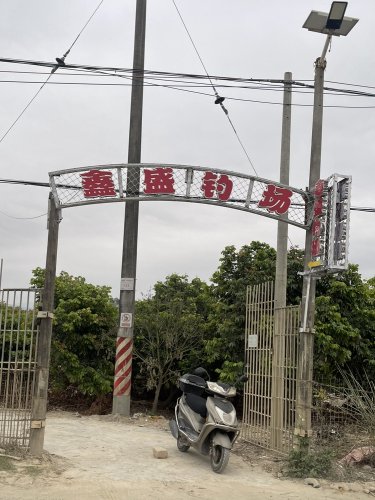 鑫盛钓场钓点与钓场环境照片
