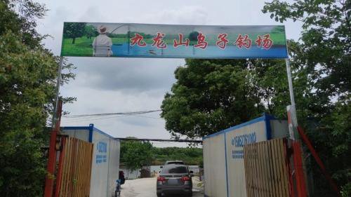 九龙山乌子钓场钓场环境照片