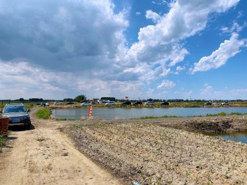 江野垂钓园钓场环境照片