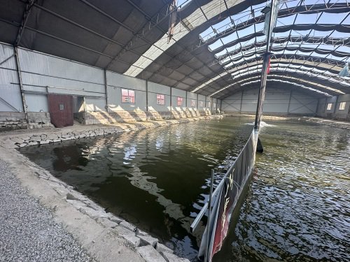鸿峰垂钓园钓场环境照片