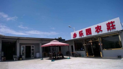 乡乐园农庄钓场环境照片