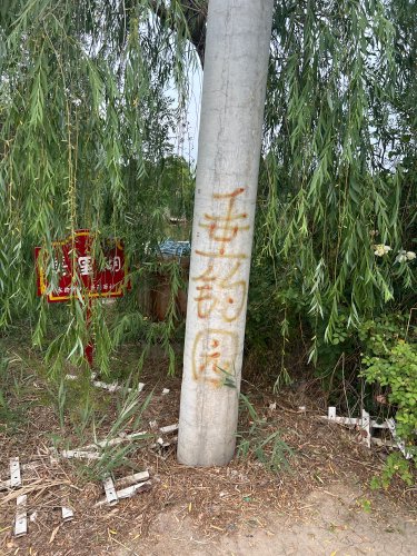 西刘垂钓园钓点与钓场环境照片