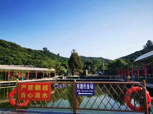 有趣钓鱼场钓点与钓场环境照片