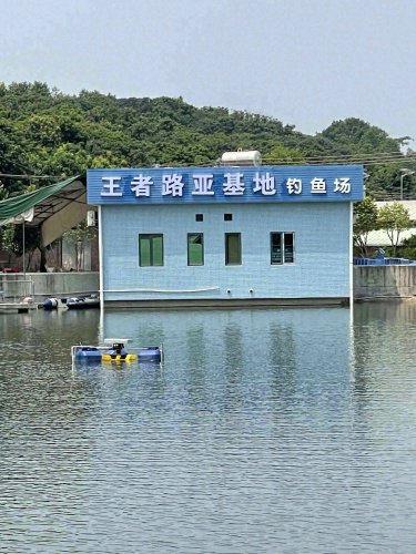 冯大钓场钓点与钓场环境照片