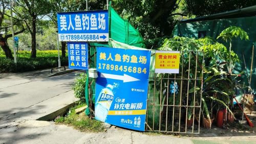 美人鱼钓鱼场钓点与钓场环境照片