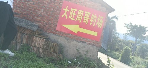 大旺周哥钓场钓场环境照片