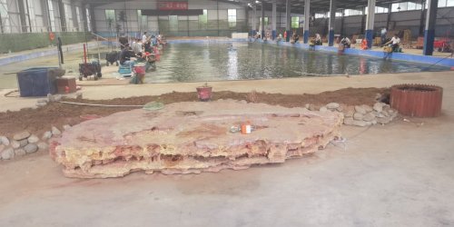 青州市闲来博鱼垂钓园钓点与钓场环境照片