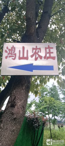 鸿山农庄垂钓中心钓场环境照片