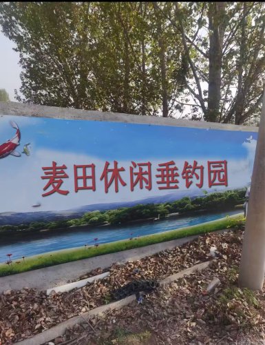 麦田休闲垂钓园钓场环境照片