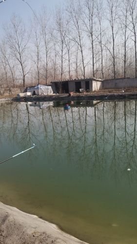 大丰收采摘垂钓园钓点与钓场环境照片