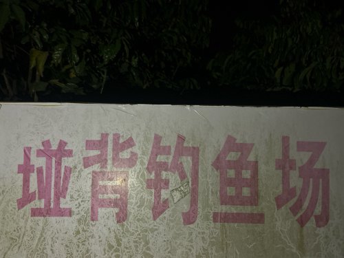 碰背钓场钓场环境照片