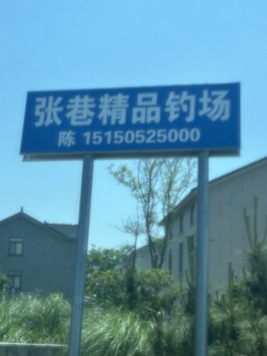 张巷精品钓场钓场环境照片