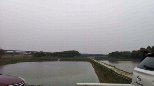 兴业休闲垂钓园钓场环境照片