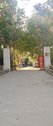 高港天元垂钓园钓场环境照片
