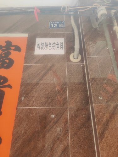 闸坡粉色钓鱼排钓场环境照片