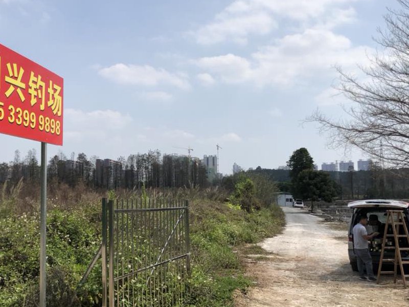 明兴钓鱼场钓点与钓场环境照片