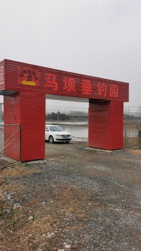 马坝垂钓园钓场环境照片
