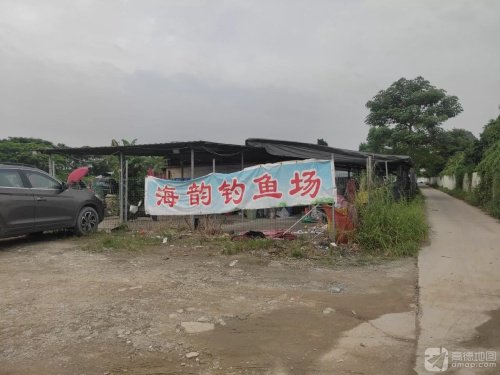 海韵钓鱼场钓点与钓场环境照片