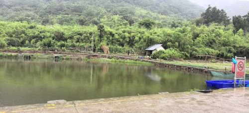 天童钓鱼台钓点与钓场环境照片