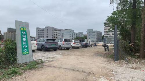 新港休闲垂钓中心钓点与钓场环境照片