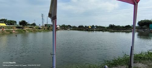 阿庆钓鱼场钓点与钓场环境照片
