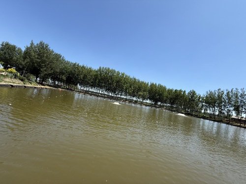 游鱼湾垂钓园钓场环境照片