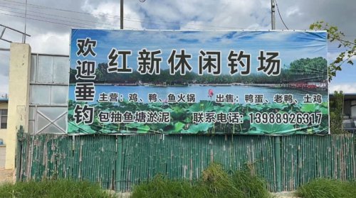 红新休闲钓场钓点与钓场环境照片