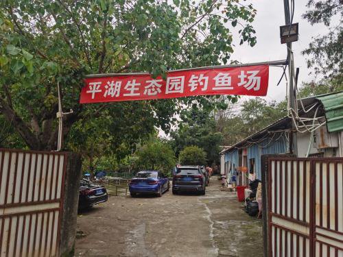 平湖生态园钓鱼场钓点与钓场环境照片