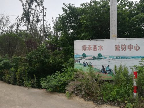 丹徒区绿禾苗木垂钓中心钓场环境照片