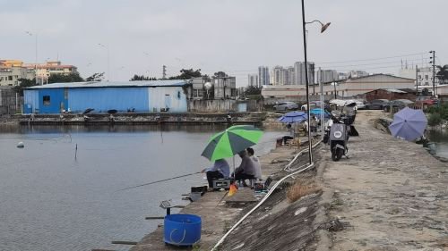 井冈山钓场休闲塘钓点与钓场环境照片