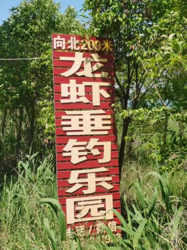 东海龙虾垂钓乐园钓场环境照片